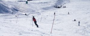 slalom race poles