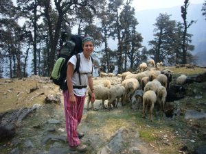 Nature walk trek auli 