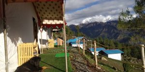 auli camps and resorts online booking auli camping swiss camps auli