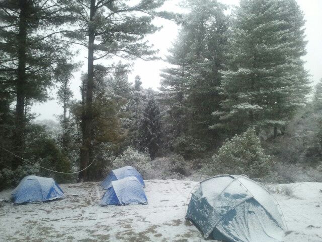 auli adventure winter camps