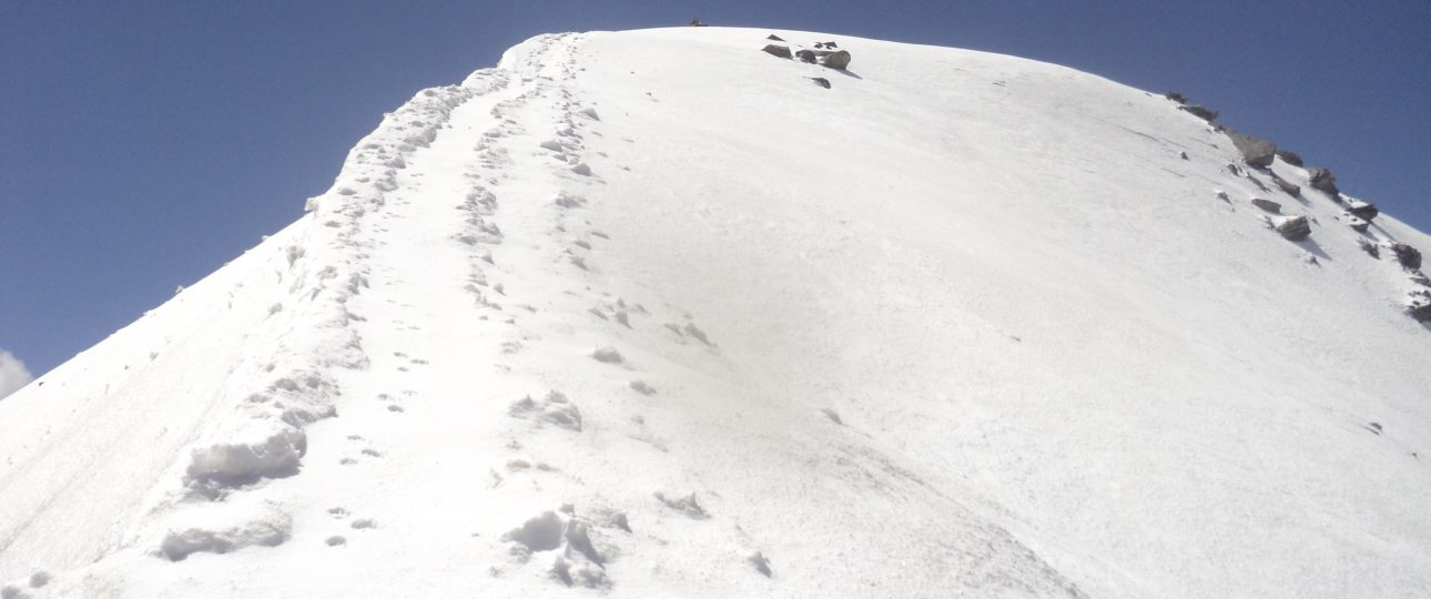 pangarchulla peak trek 4575meter